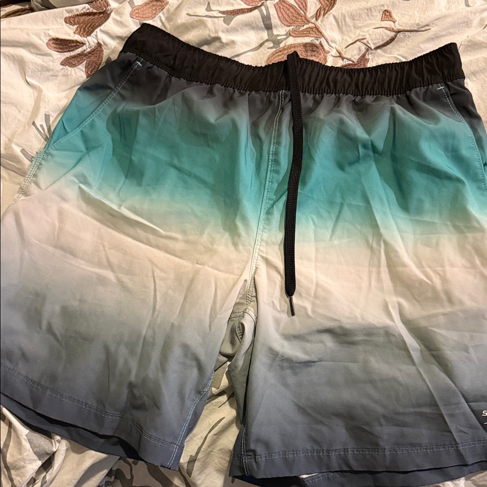 Speedo Black Swim Shorts